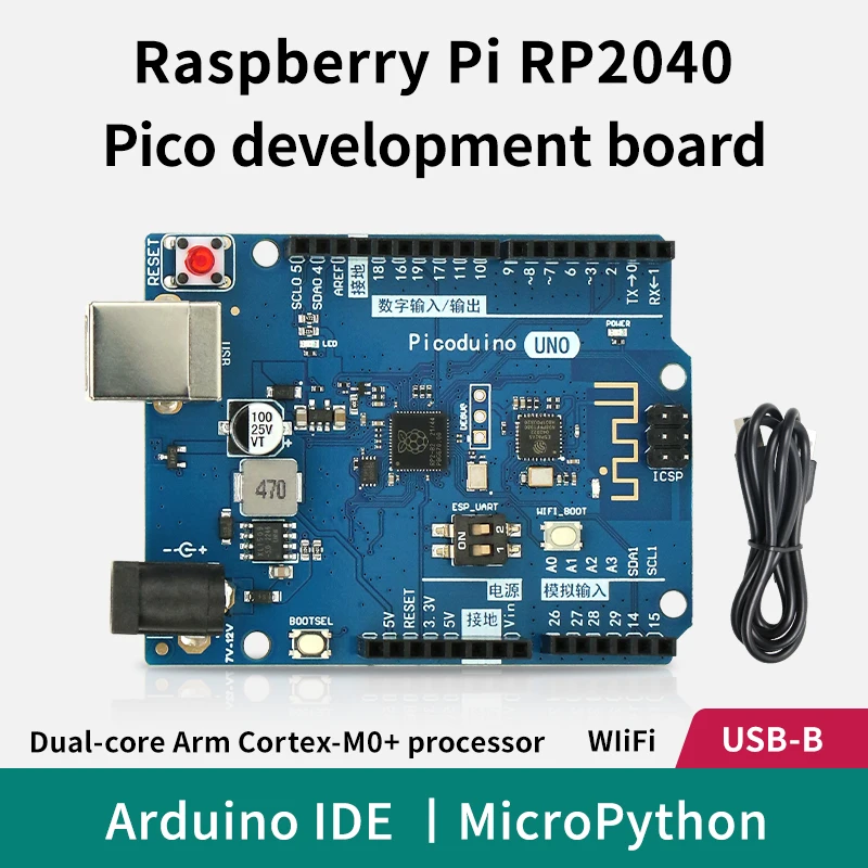 Raspberry PI RP2040 development board MicroPython programming iot development Pcio