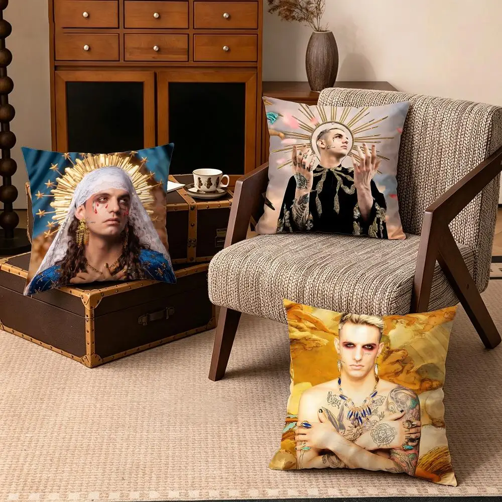 Celebrity-Achille LauroS Cushion Cover Soft Velvet Cushion Cover Set 4Pcs 50x50 45x45 Zipper Pillowcase for Home Decor