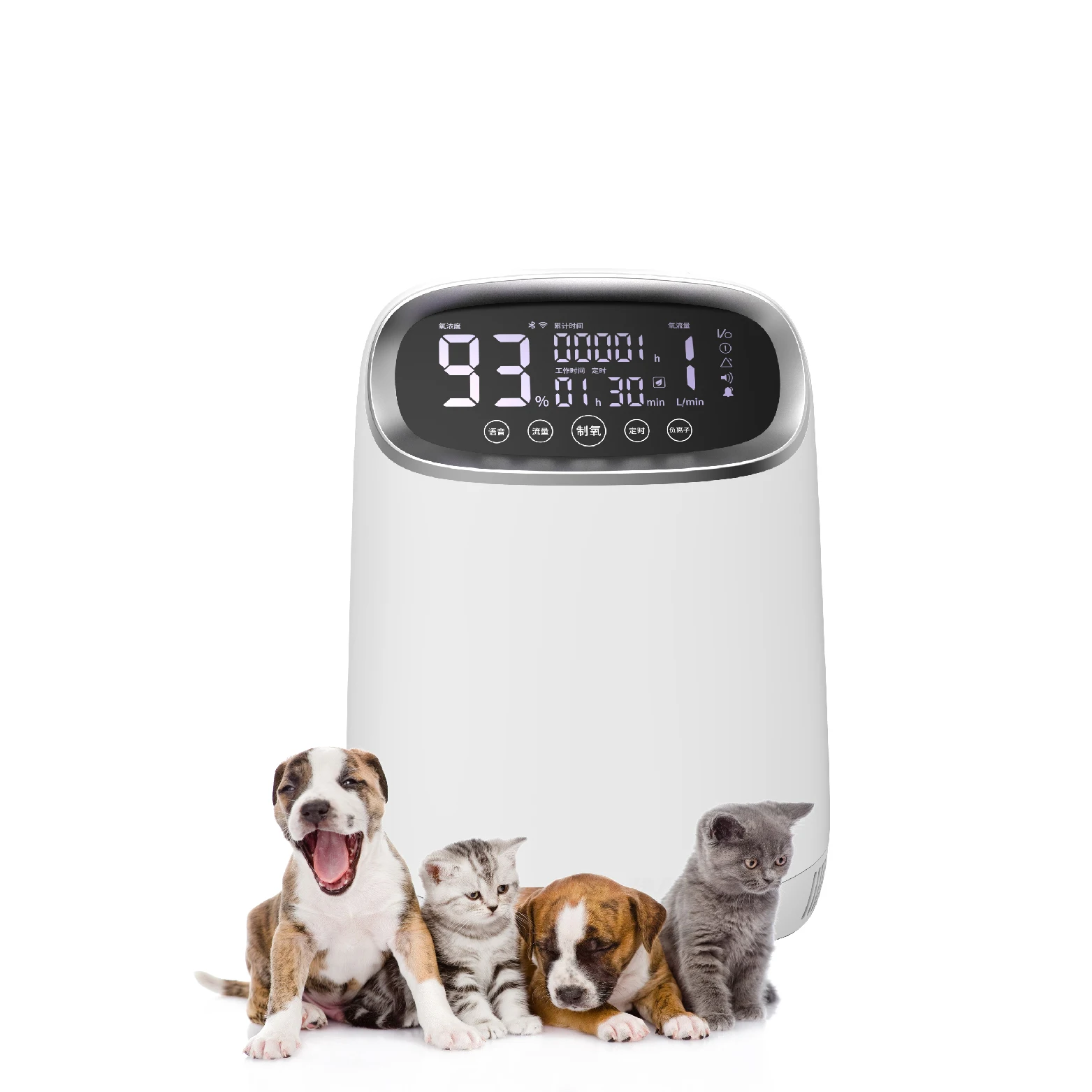 Reliable Pet  Concentrator User-Friendly Veterinary Instrument