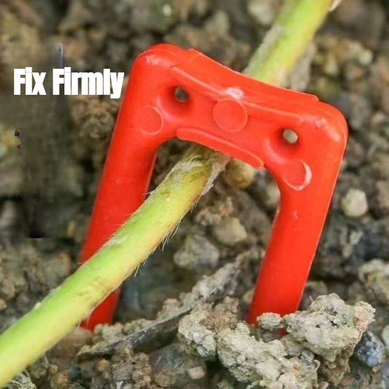 U-Shaped Vine Anchor Strawberry & Melon Fruit Seedling Support Fork, 30Pcs Nursery Cultivation Growth Management Tool