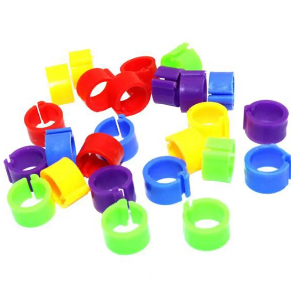 100Pcs 8mm Birds Leg Clips  Pigeon Leg Bands Poultry Bird Parrot Pigeons Clip Rings Plastic Mix Color Small Pet Birds Foot Ring