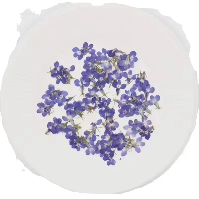 120 Stück/1,5 cm, natürliche kleine Blumen-Tropfen-Kleberaufkleber für Handyhüllen, Lesezeichen, Fotorahmen, Dekoration, Schönheits- und Nagelverzierungsmaterial, Herbstdeko – Detail 7