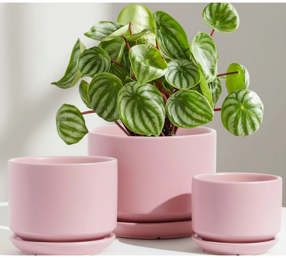 

Ceramic Plant Pots Set of 3 with Drainage Hole & Saucer, Indoor Flower Pots for Succulents, Gifts for Mom, Pink