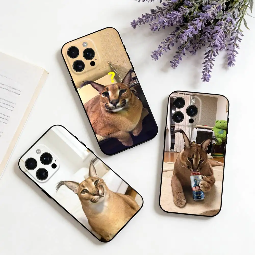 

B-Biggest F-Floppa fat For iPhone 16,15,14,13,12,11,XS,XR,X,8,7,Pro,Max,Plus,mini Silicone Black Cover