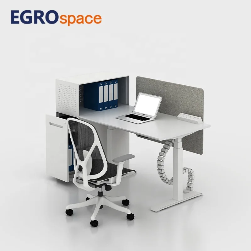 

Height Adjustable Electric Office Standing Lift up TDual Motor Ergonomic Supplier Sit Stand Desk