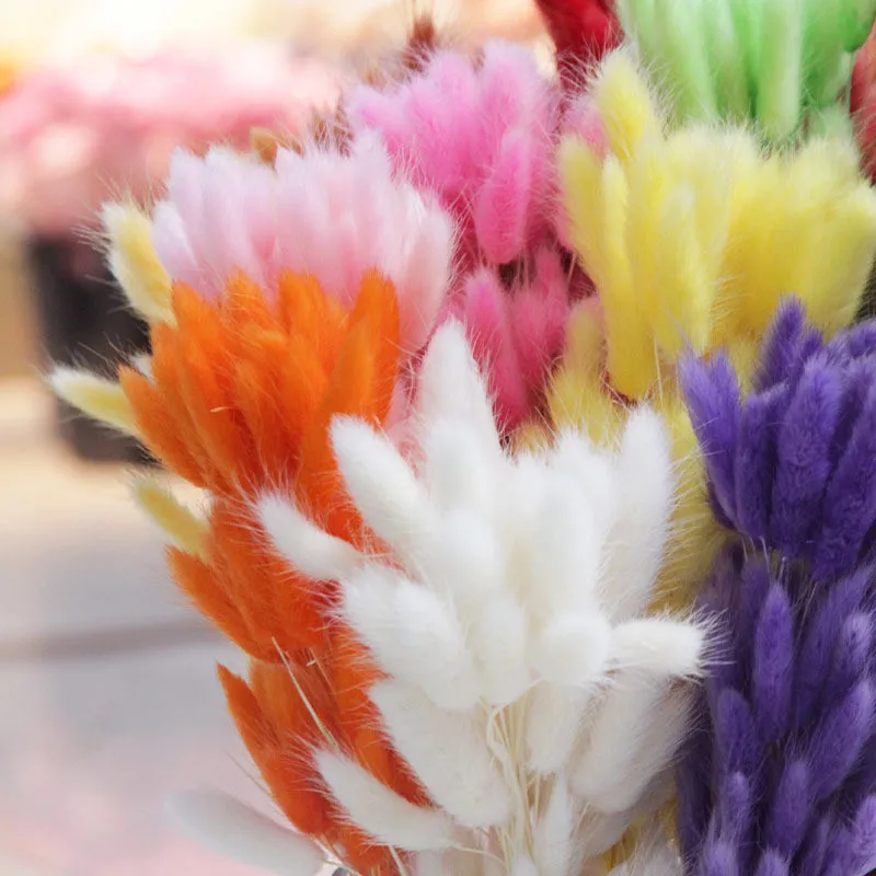 

50Pcs Mini Dried Flowers Bouquet Colorful Rabbit Tail Grass Flowers DIY Party Supplies Table Mariage Decoration Home Garden