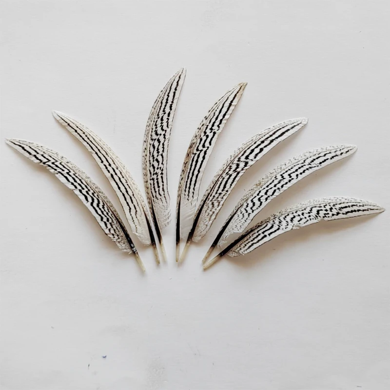 30Pcs/Lot!Natural Silver Pheasant Feathers for Jewelry Making Decoration 13-15cm White DIY Wedding Party Handicraft Accessories