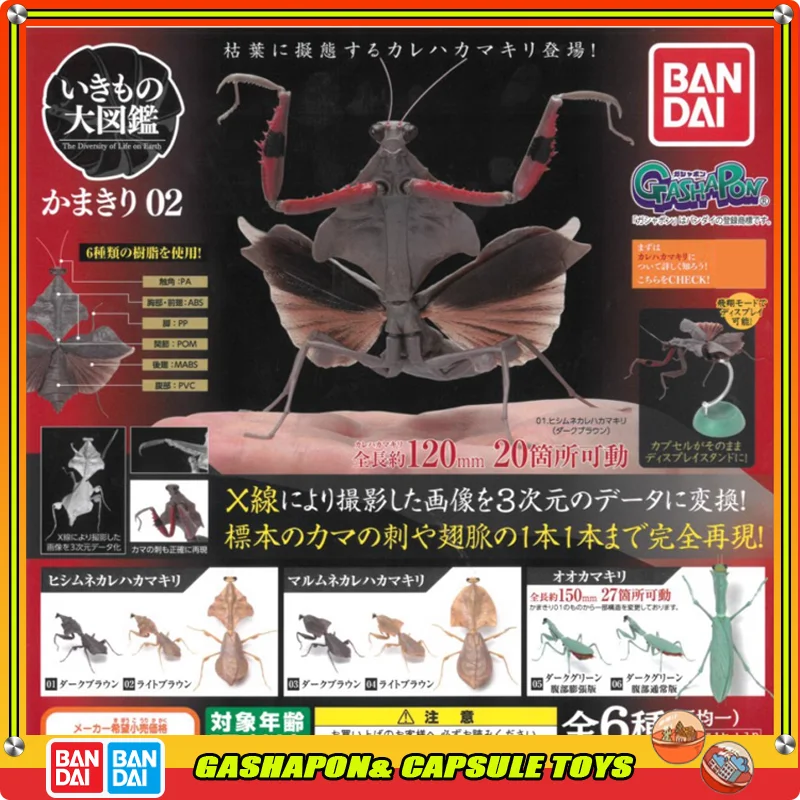 

BANDAI Biological Encyclopedia Action Figures Model Mantis Series Deroplatys Desiccata Gashapon Ornament Genuine Collect