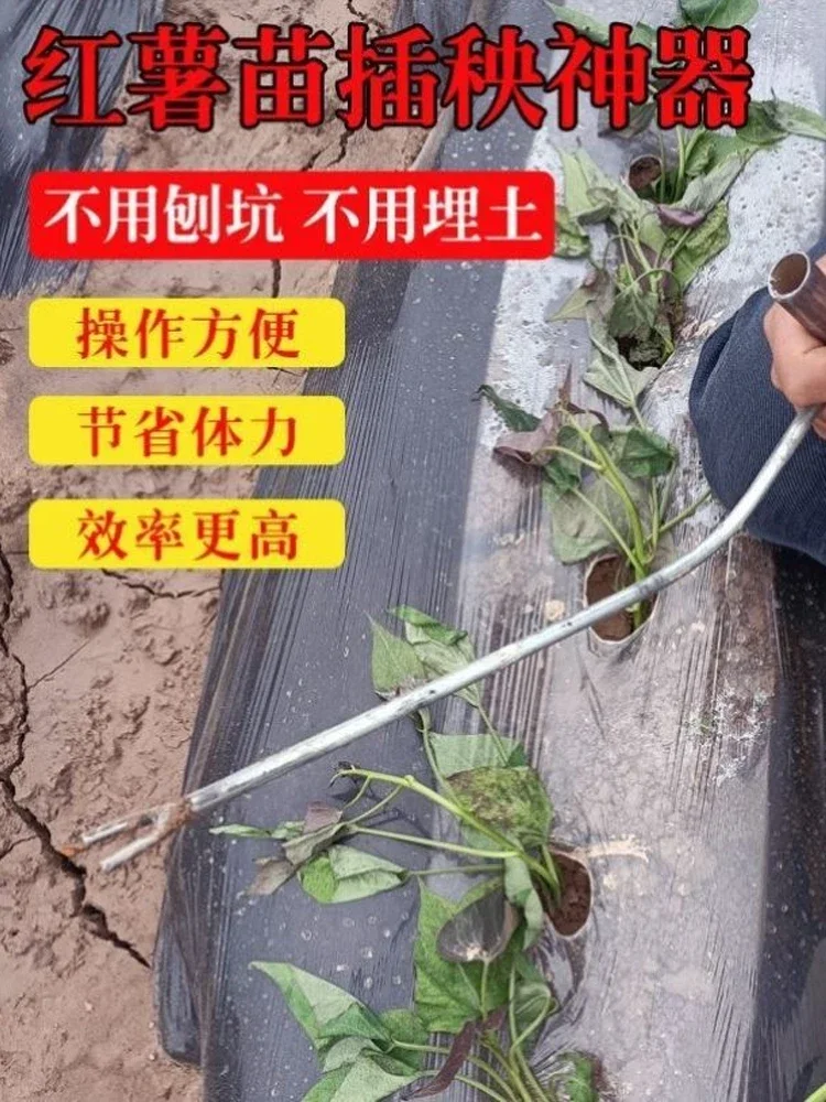 고구마 묘목 심기 인공물, 달콤한 이식기, 야채 심기 도구, 포크 플랫 심기 도구, 양파