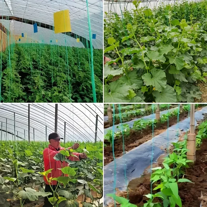 1 Roll Multi‑Purpose Heavy‑Duty Garden Twine, Durable Binding String for Tomato & Vegetable Support, Ideal for Greenhouse, Trell