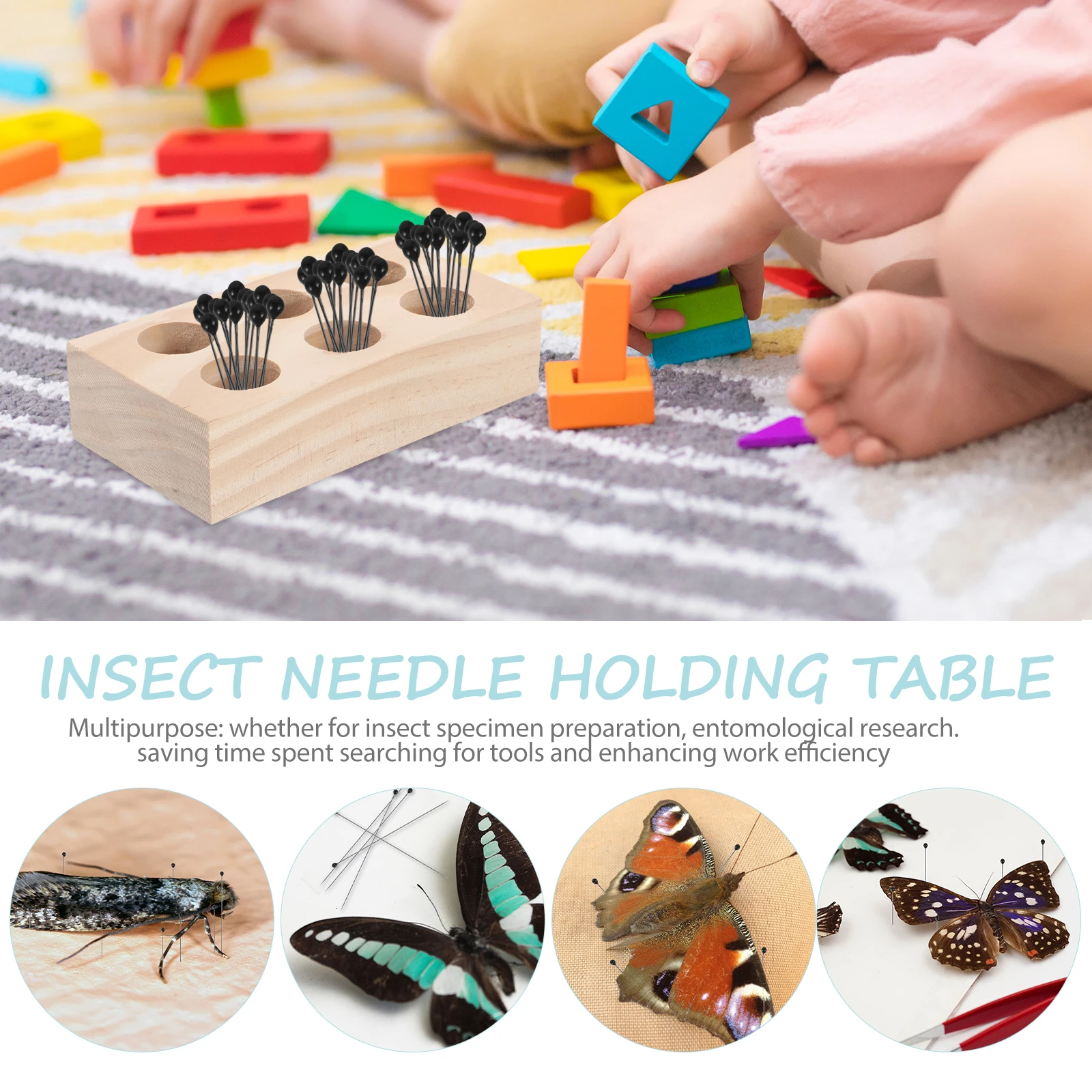 قاعدة تخزين الحشرات، إبر الطاولة، دبابيس الحشرات، حامل خشبي، حامل مريح