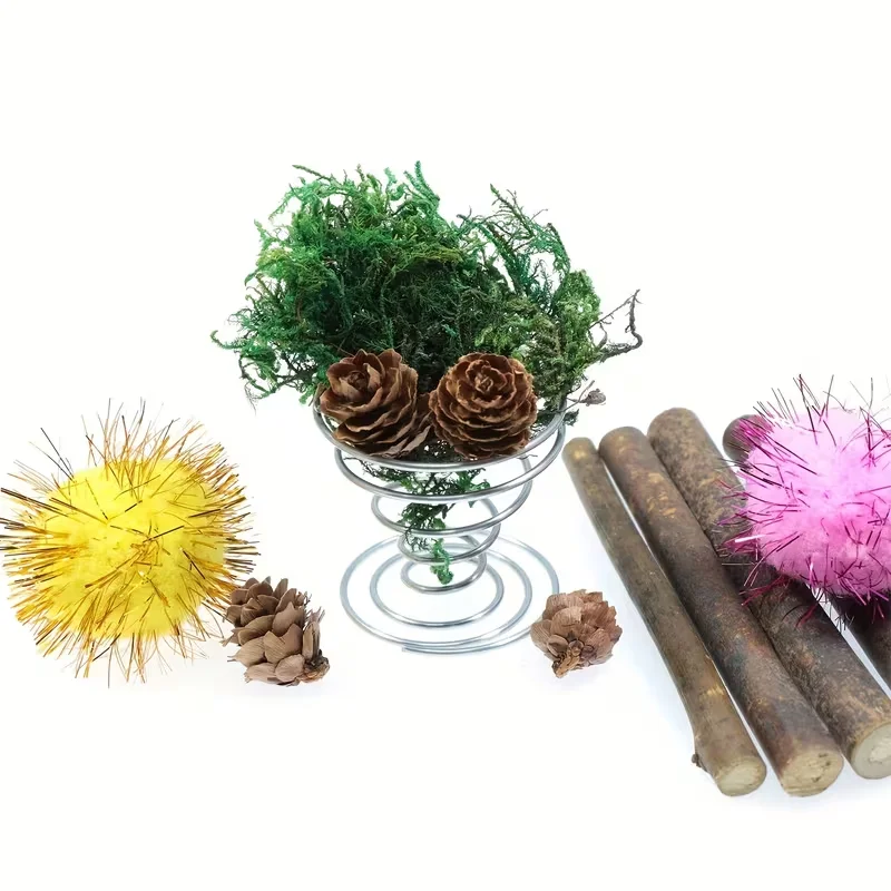 1/10 STUKS Metalen Veerstandaa - Air Plant Tillandsia recensie en prijs