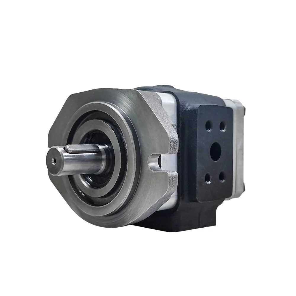 Hydraulic Gear Pump Peplace Eckerle EIPH2 Series 10cc/rev 12cc/rev 16cc/rev Gear Pump