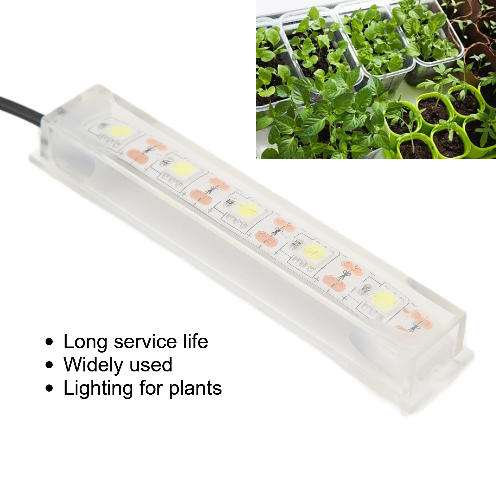 Aquarium Light Fish  Light Aqu - Planted Aquarium Betta review and price