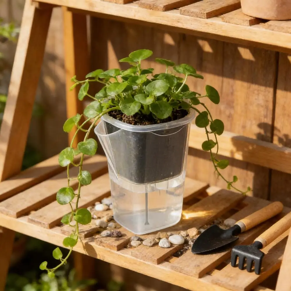 

Propagation Plant Pot Pot Mini Self Watering Plant Pots with Reservoir Plastic Propagation Planters for Seedlings Cuttings