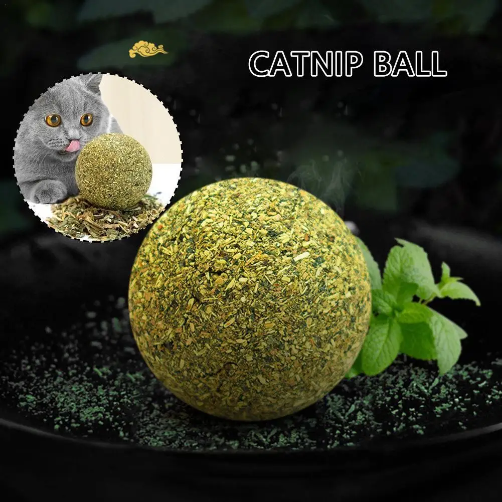 Natural Safety Edible Pet CatnipToys CatsHome Chasing Game Toy Products Clean Teeth And Stomach Cat Mint CatNip Catmint Supplies