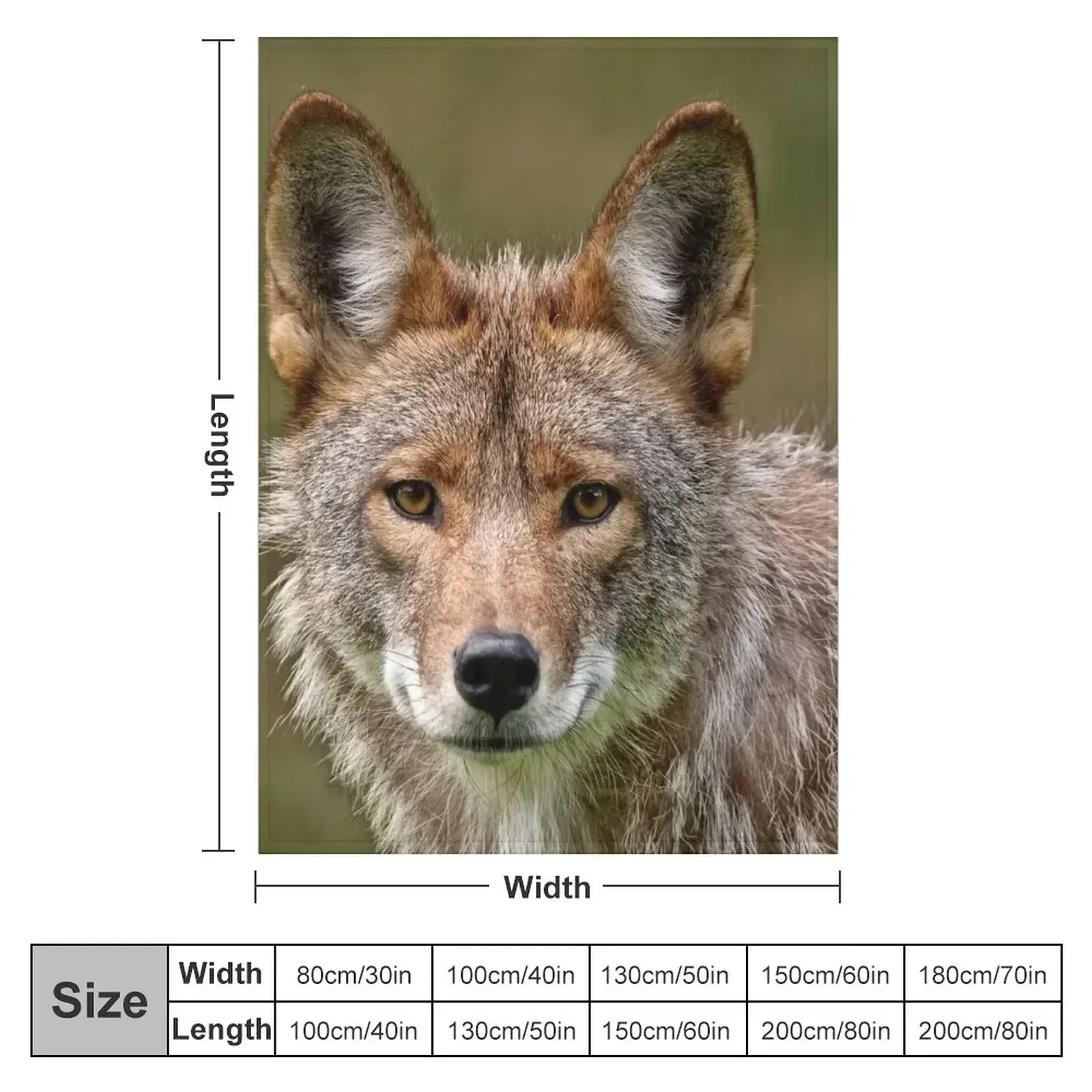 Coyote Throw Blanket Baby Moving Extra Large Throw Single Blankets