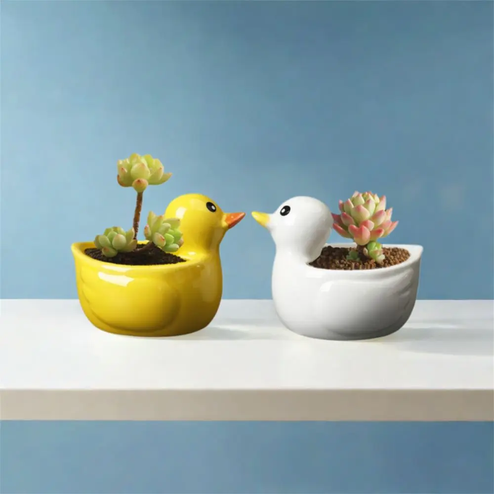 

Креативный керамический цветочный горшок с уткой, милый ремесленный сочный растение, цветочный горшок, имитация животного, орнамент, ваза, сушеный цветок