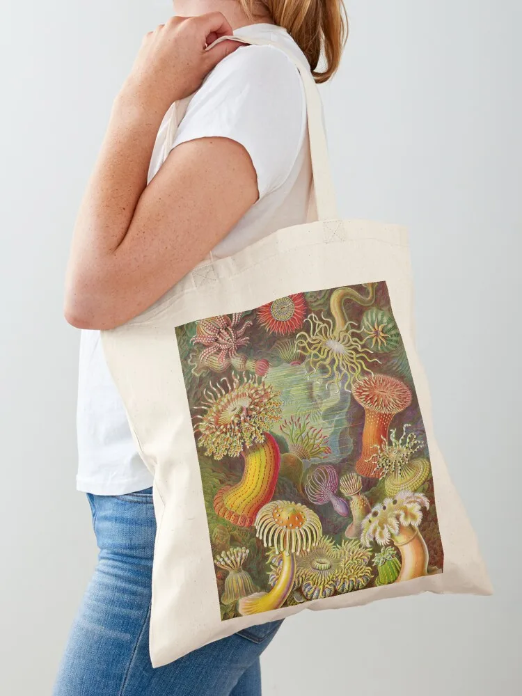 

Sea anemone - Ernst Haeckel Tote Bag Lady bags the tote bag Handbags bags woman 2025