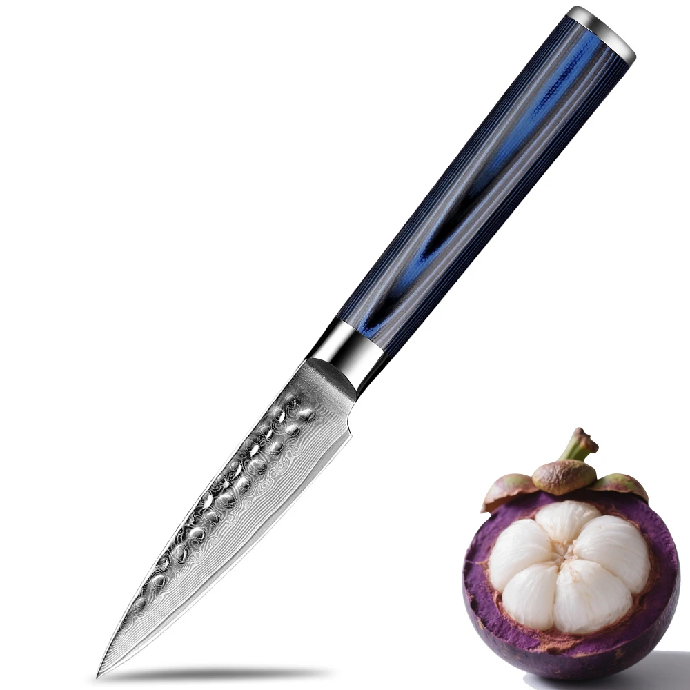 Schälmesser 3,5 Zoll Kochmesser Damaststahl Küchenmesser Obst- und Gemüseschneiden Hacken Schnitzmesser Antihaftklinge