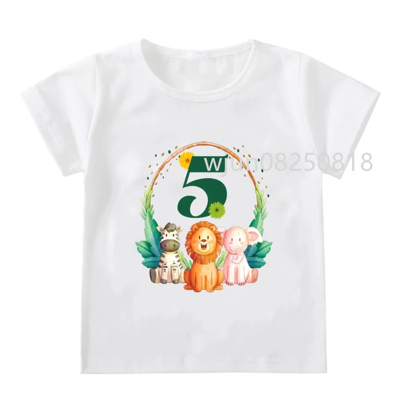 

Lion Panda Giraffe Children's Animal Park 1-9 Year Old T-shirt Birthday Party T-shirt, to add a name, please contact the seller