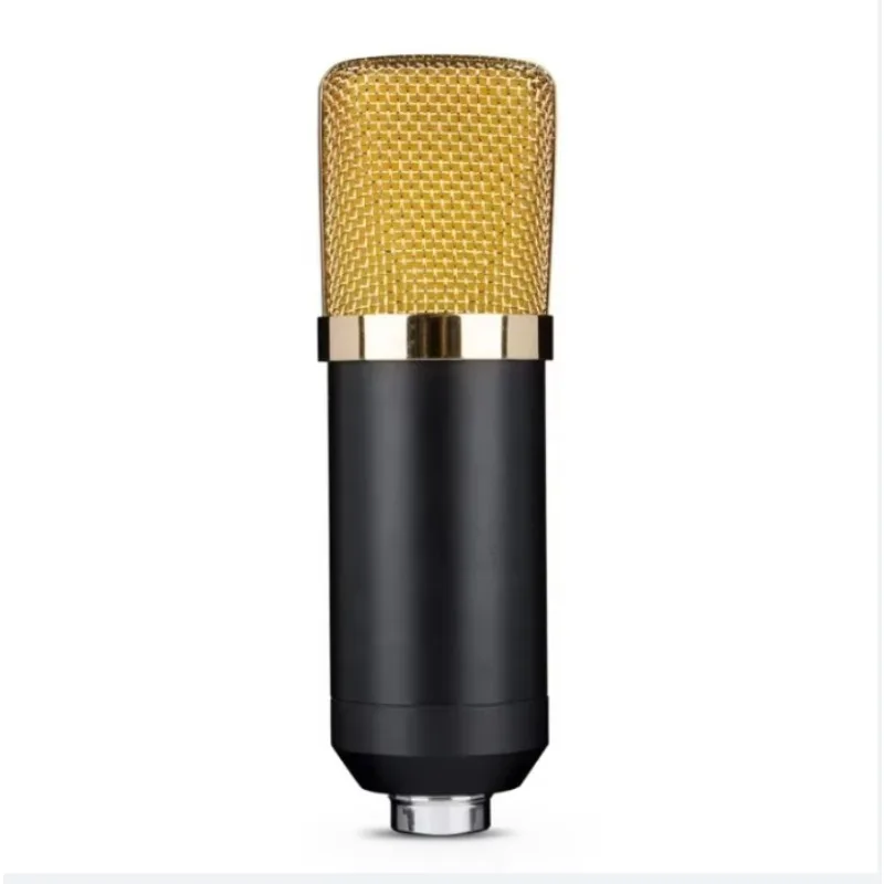Professional BM700 Handheld Condenser Microphone for Broadcast Recording Heart Polar Pattern Metal Plastic Material Wired