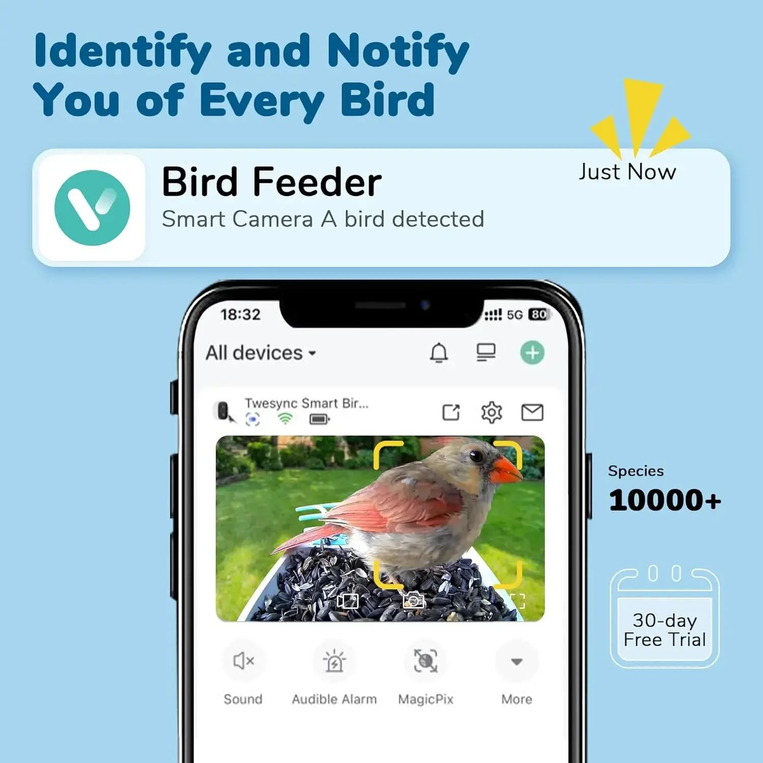 Bird Feeder Camera 2K Hd Video Capture 5000Mah Battery Solar Panel Instant Arrival Alerts Live View Ai Species Identification Pe