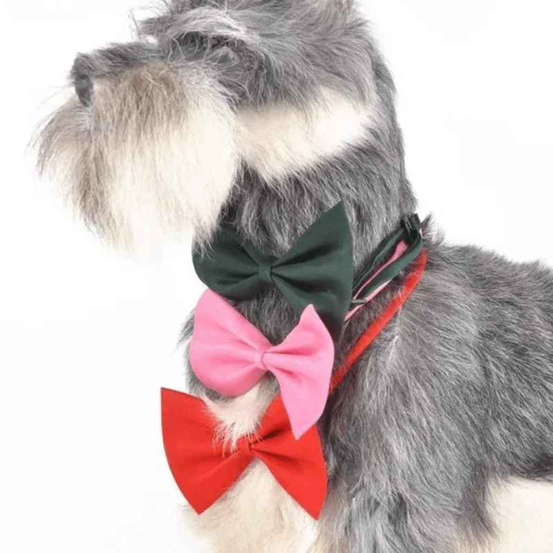 Stylish & Adjustable Pet Bowtie Collar: Make Your Dog Or Cat Look Fabulous! view 5