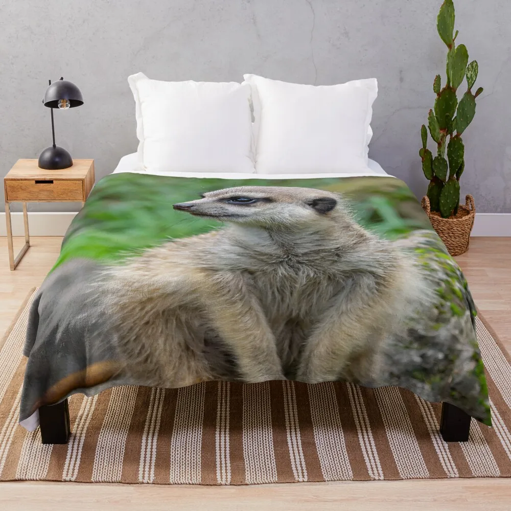 

Baby Meerkat Throw Blanket Decoratives wednesday Luxury St Blankets