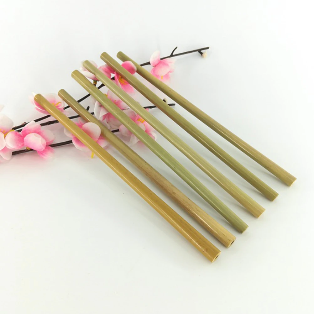 

22pcs 19.5Cm Bamboo Straws Reusable Biodegradable Eco Friendly Drinking Set For Adults Environmentally Safe