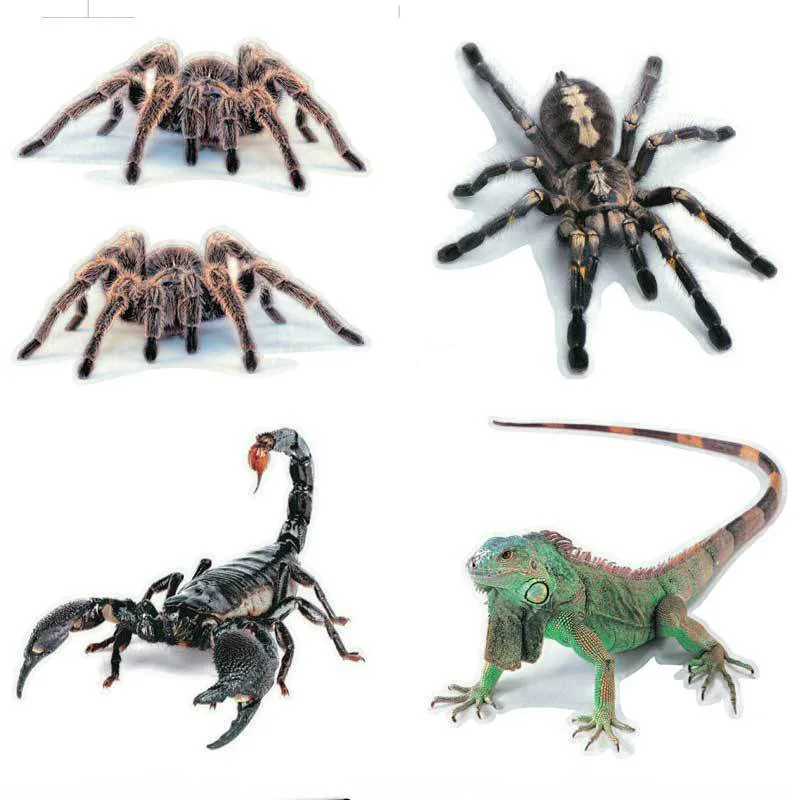 Three-dimensional Car Spider Gecko Simulation Animal Car Sticker Scratches Cover Decoration