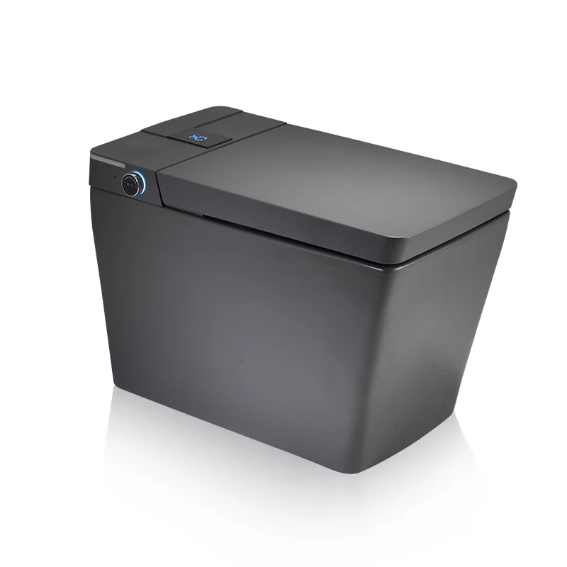 

High Quality Luxury One Piece Ceramic Electrical Automatic Flush Square Smart Toilet
