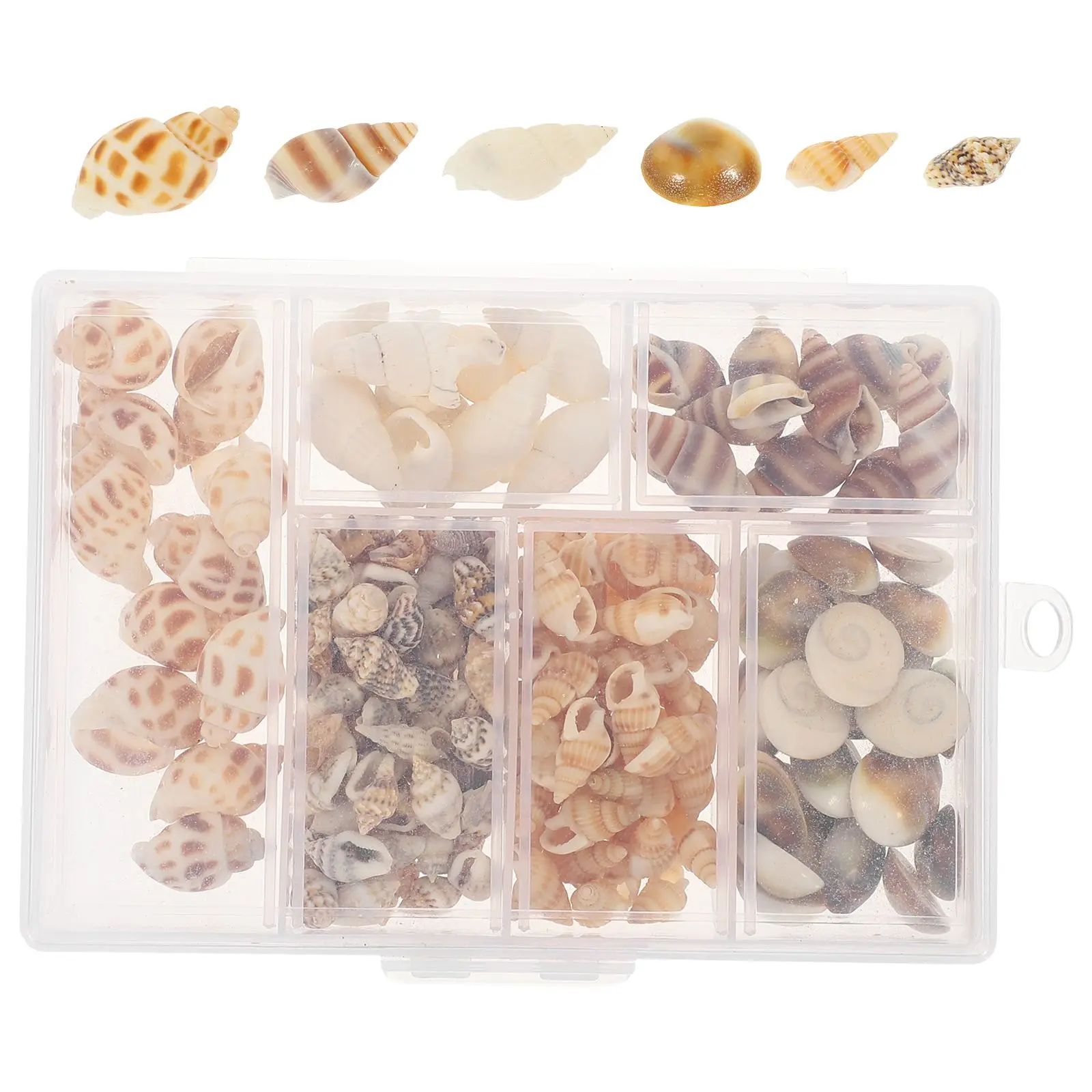 

166 Pcs Natural Seashells Mixed Colors for DIY Jewelry Crafts Conch Craft For Landscape Decor Fish Natural Conch Decor Tank