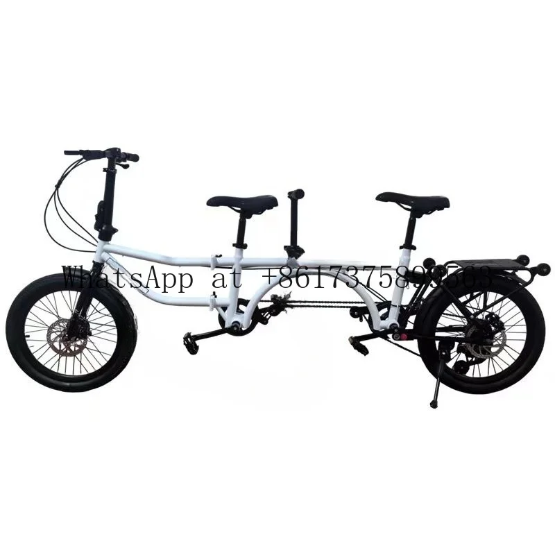 Double Bicycle Folding Variable Speed Parent Child Family Baby Car Three People Scenic