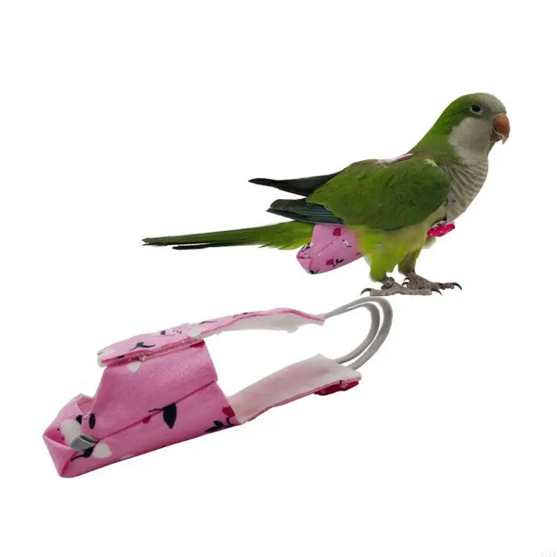 R1WB S/para M Parrot Paver con Bowtie Colorida Cockatiel Pigeons Pet Birds Flight Su