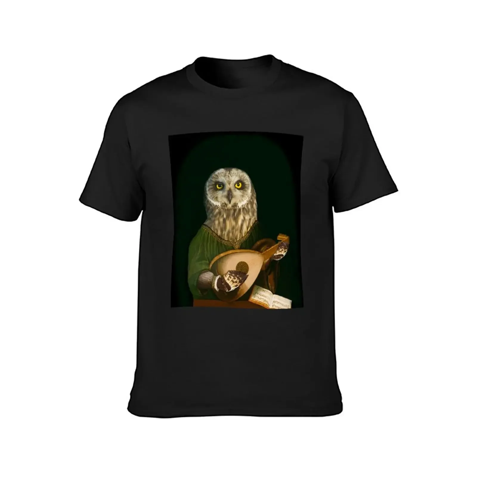 Owl Playing the Lute - Composite Painting T-Shirt vintage graphic tee mens t shirts casual stylish