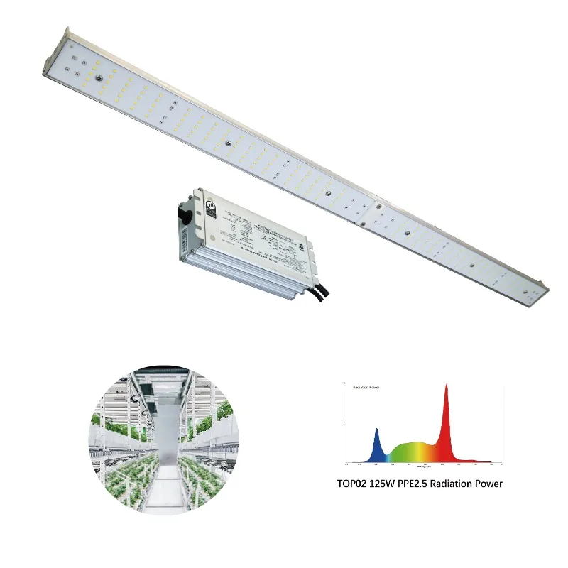 H02 סדרה 100w 120w 125w 150w חוות חממות משק צמח מקורה צמח גדל פס אור לצמיחה צמח בשימוש