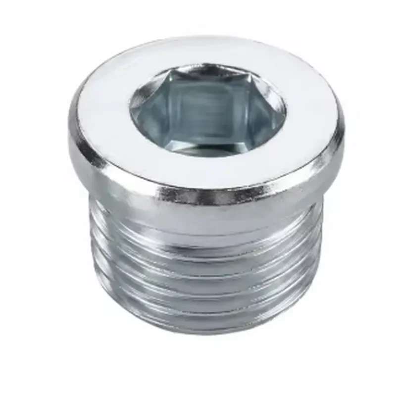 Hex Socket Set Screw Plug