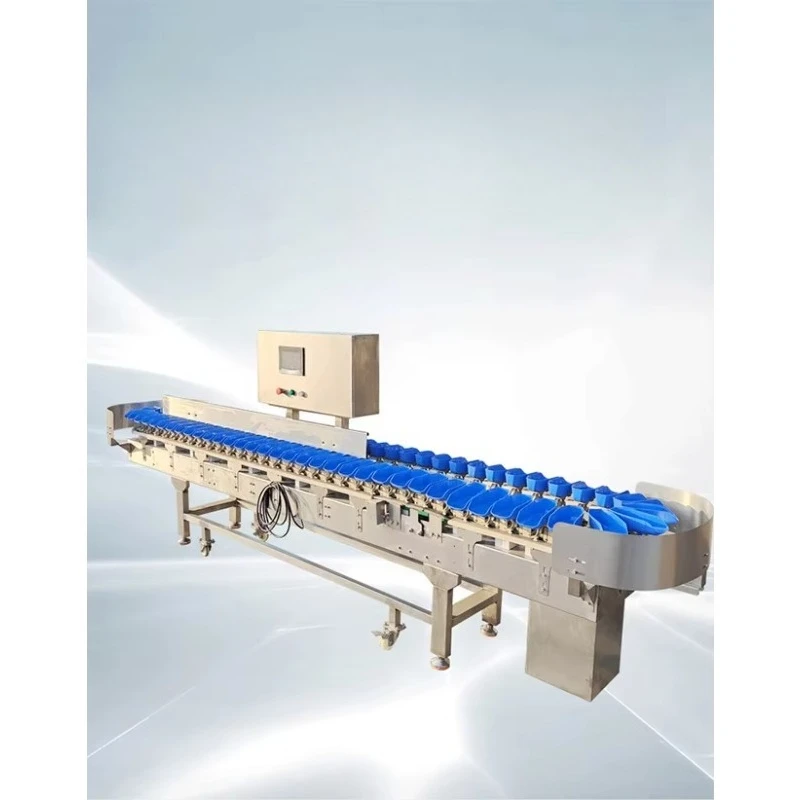 Automatic Avocado Cucumber Kiwi Vegetable Fruit Size Weight Washing Grader Sorting and Sorter Grading Machine for Sale