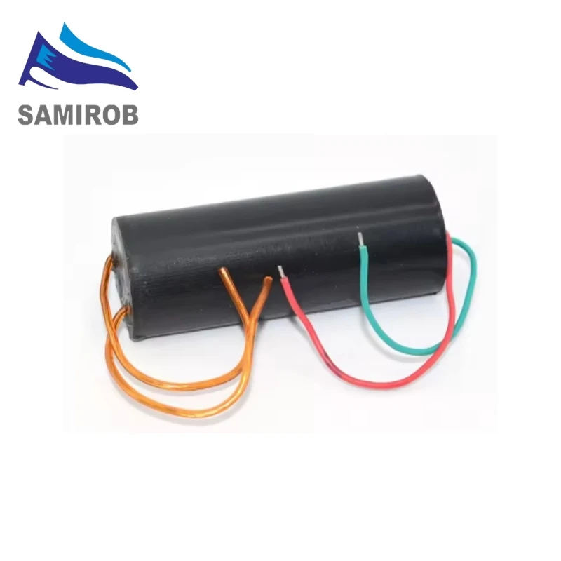 SAMIROB DC 3V-6V Bis 400kV 400000V Boost Step Up Power Module High Voltage Generator