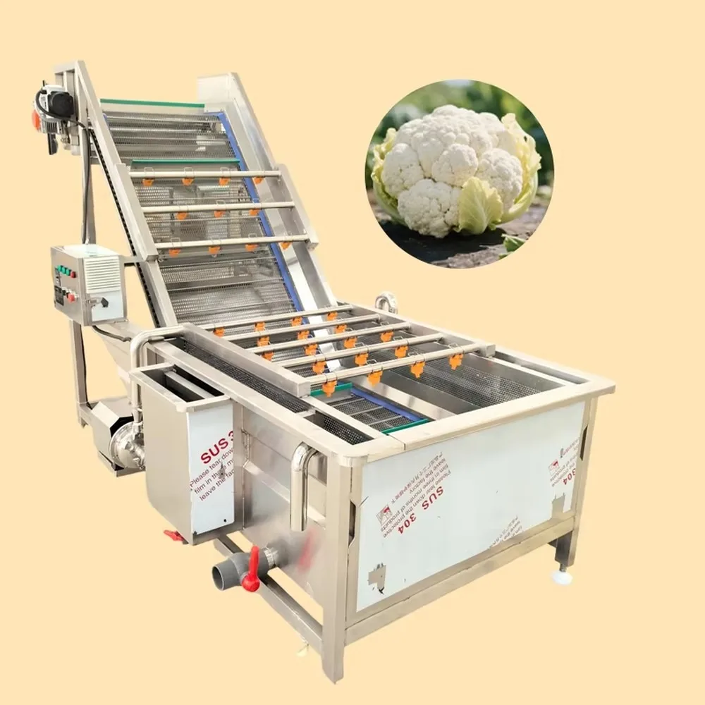 Industrial Fruit Washing Machine Bubble Cleaning System High Pressure for Apple Washer for Factory Use Commercial