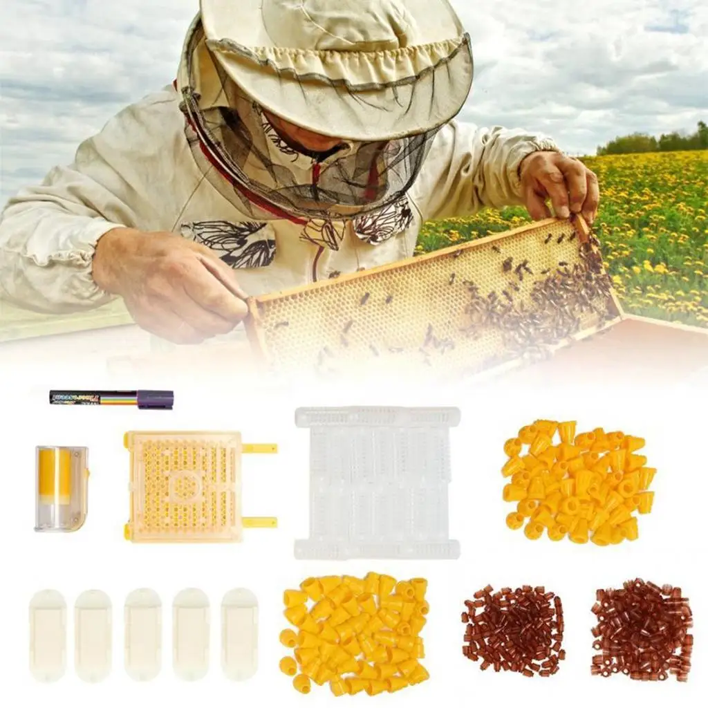 Queen Bee Rearing Kit for Beekeeping Apiculture Beehive Box Supplies Tool