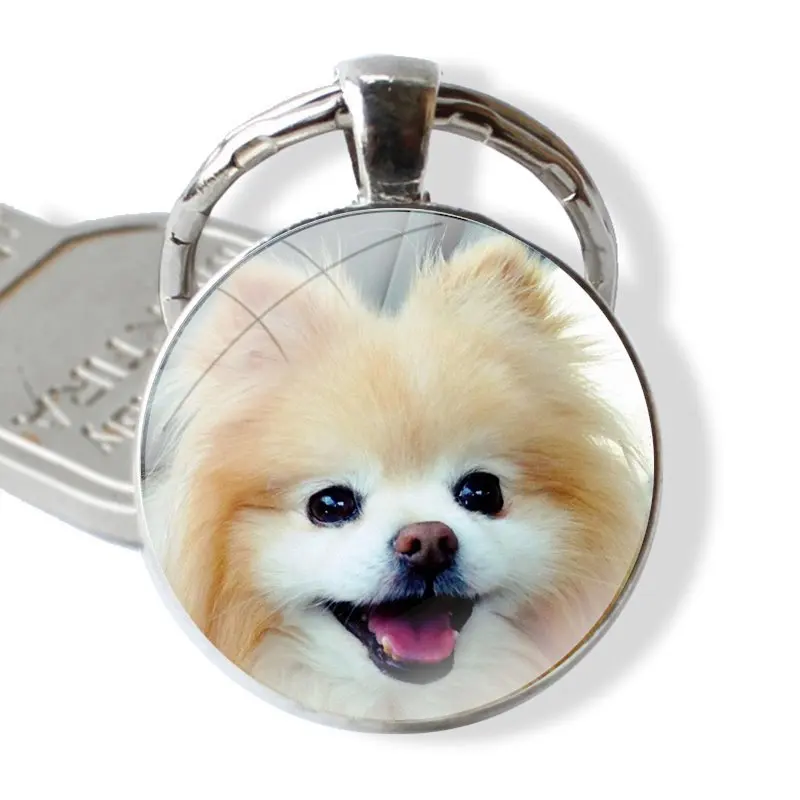 Pomeranian dogs dog Keychain Handmade Glass Cabochon Key Ring Holder Pendant Key Chains