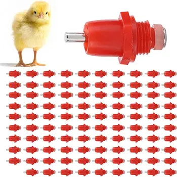 10 best sales שתיין עוף - №4