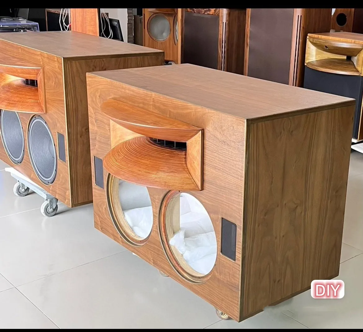 Elemento de som de alto-falante Hifi DIY/personalizado