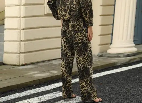 Pantalon en Denim imprimé léopard pour femmes, vêtements de tempérament pour les déplacements quotidiens, automne, pantalons décontractés