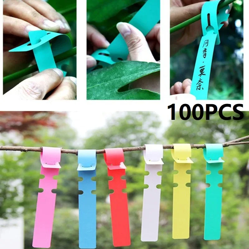100PCS Pallets To Mark Plants Plastic Labels Plant Name Tag Ring Garden Sign Tags for Garden Plant Identification ZWBQP02