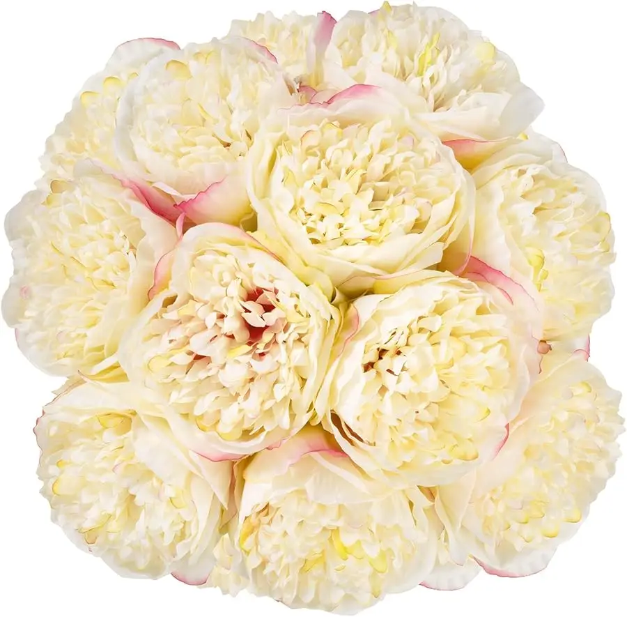 

2 Bouquet 10 Heads Artificial Peony Silk Flower Leaf Home Office Wedding Party Festival Bar Decor (Champagne)