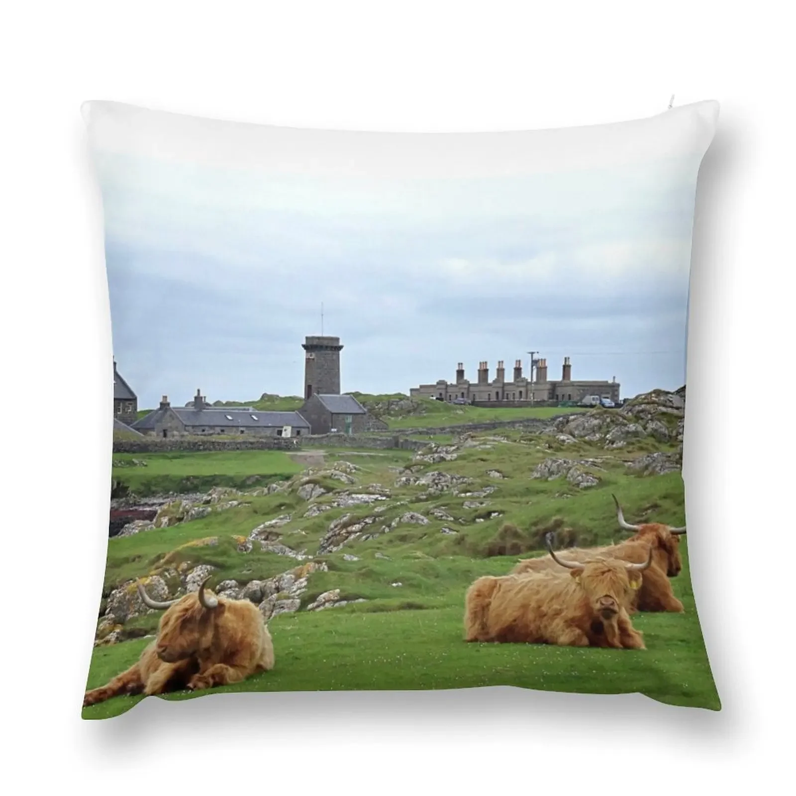 Highland Cows at Skerryvore Lighthouse Village, Hynish, Isle of Tiree Scotland Throw Pillow luxury throw pillow covers pillow