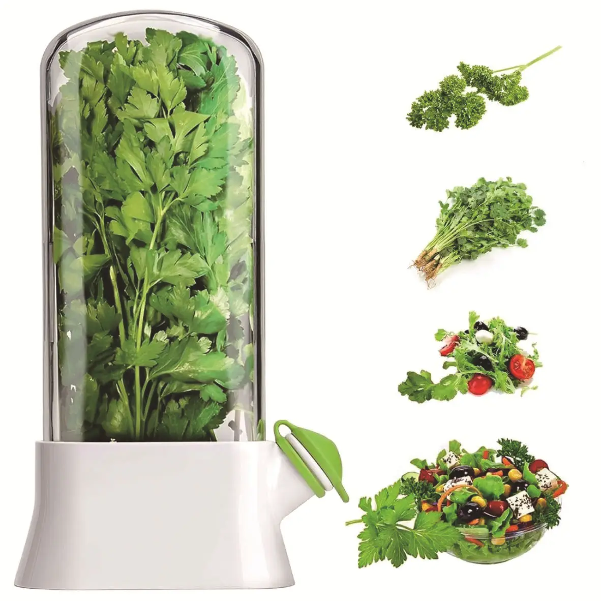 Herb and Vegetable Crisper,Anti-Pressure Eco-Friendly Crisper,Creative Home Cilantro Fresh Cup,Kitchen Accessories